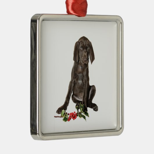 kerstpointer Puppy Metalen Ornament (Rechts)
