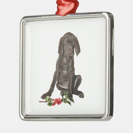 kerstpointer Puppy Metalen Ornament (Links)