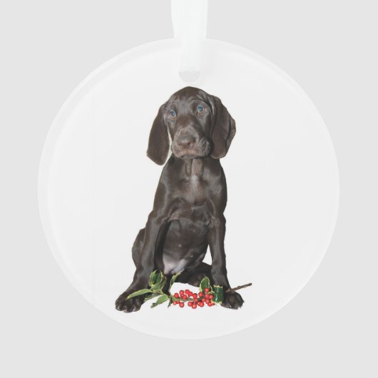 Kerstpointer zuster Puppy Ornament (achterkant)