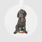 Kerstpointer zuster Puppy Ornament (voorkant)