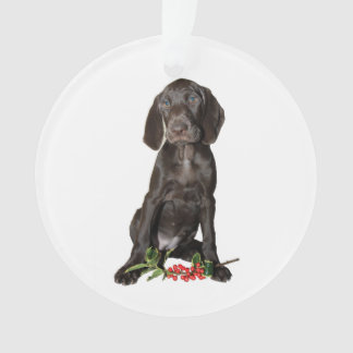 Kerstpointer zuster Puppy Ornament