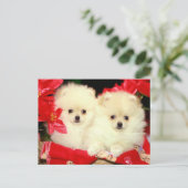 Kerstpomeraniërs Feestdagenkaart (Staand voorkant)