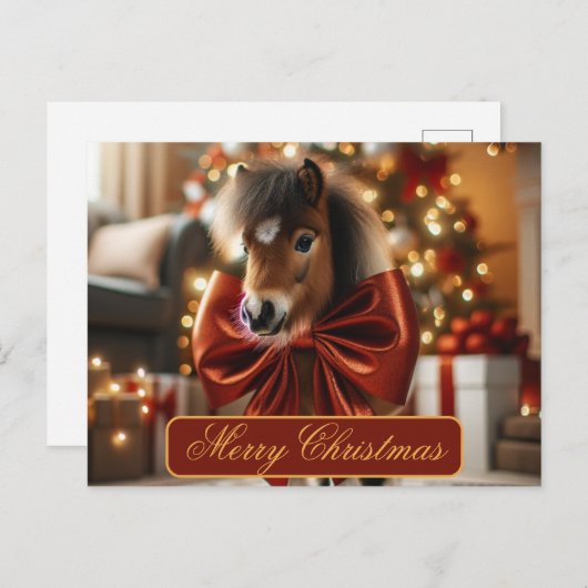 kerstPony Feestdagenkaart (Voorkant / Achterkant)