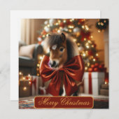 Kerstpony Feestdagenkaart (Voorkant / Achterkant)