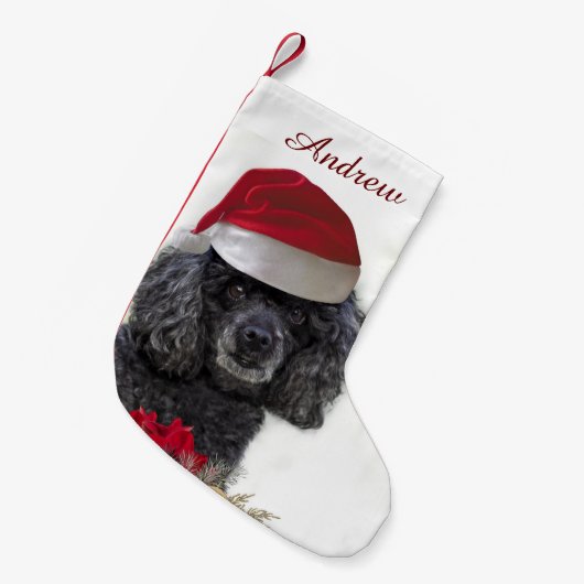 kerstpoole hond gepersonaliseerd Stocking Kleine Kerstsok (Voorkant (Hangend))