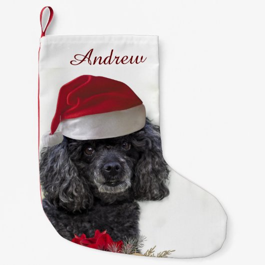 kerstpoole hond gepersonaliseerd Stocking Kleine Kerstsok (Voorkant)