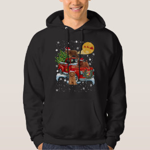 Kerstportret met  roodtrui hoodie