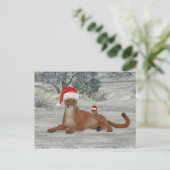 kerstpot met kubbel briefkaart (Staand voorkant)