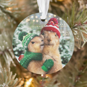 Kerstprairie Dogs Ornament