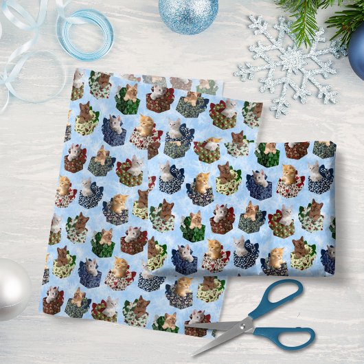 Kerstpresentaties met Cute Baby Kittens Inside Tissuepapier