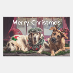 Kerstpret 3 honden gekleed voor het seizoen rechthoekige sticker