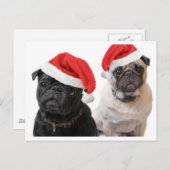 kerstpugs feestdagenkaart (Voorkant / Achterkant)