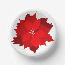 Kerstpunsettia rood en wit bord