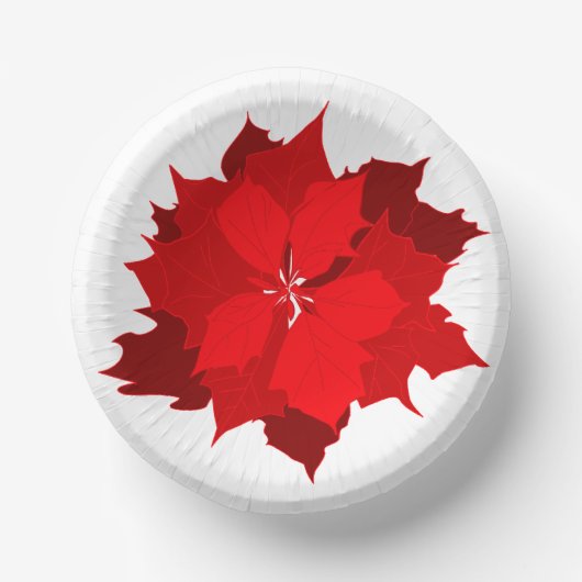 Kerstpunsettia rood en wit bord (Voorkant)