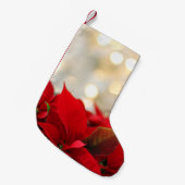 Kerstpuntbloem Kleine Kerstsok (Voorkant (Hangend))