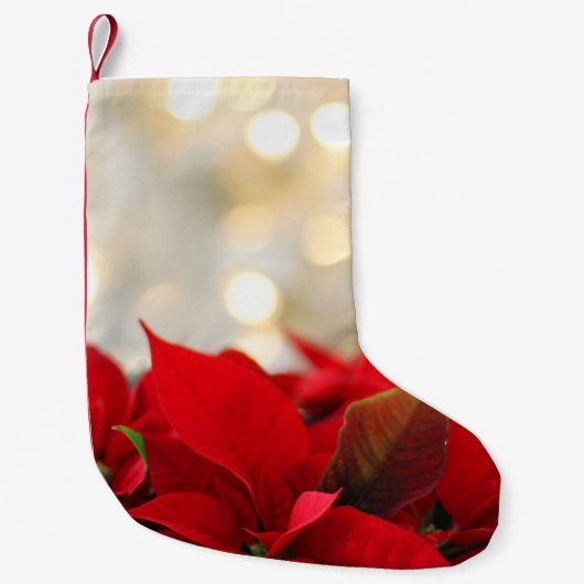 Kerstpuntbloem Kleine Kerstsok (Voorkant)