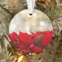 Kerstpuntbloem