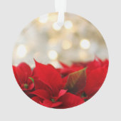 Kerstpuntbloem Ornament (achterkant)