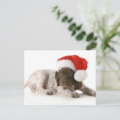 Kerstpuppy - Duitse Kortharige Pointer Feestdagenkaart (Staand voorkant)