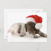 Kerstpuppy - Duitse Kortharige Pointer Feestdagenkaart (Voorkant / Achterkant)