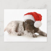 Kerstpuppy - Duitse Kortharige Pointer Feestdagenkaart (Voorkant)