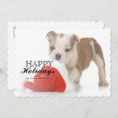 kerstpuppy: Engelse bulledog Puppy Feestdagenkaart (Voorkant / Achterkant)