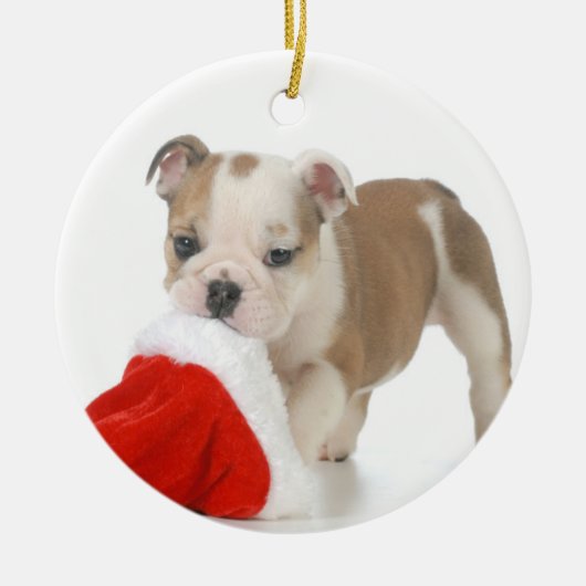 kerstpuppy: Engelse bulledog Puppy Keramisch Ornament (Voorkant)