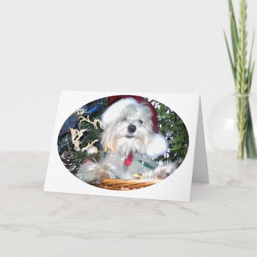 kerstpuppy feestdagen kaart (Voorkant)