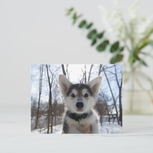 kerstpuppy feestdagenkaart (Staand voorkant)