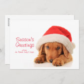 Kerstpuppy met een kersthat feestdagenkaart (Voorkant / Achterkant)