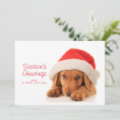 Kerstpuppy met een kersthat feestdagenkaart (Staand voorkant)