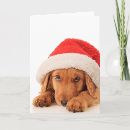 Kerstpuppy met een kerstmuts feestdagen kaart (Voorkant)