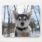 kerstpuppy muismat (Voorkant)