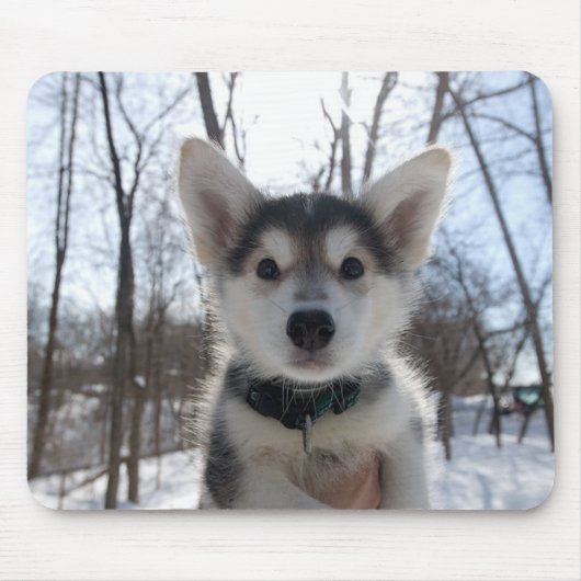 kerstpuppy muismat (Voorkant)