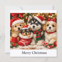 Kerstpuppy's
