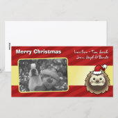 Kerstpygmy Hedegel Feestdagenkaart (Voorkant / Achterkant)