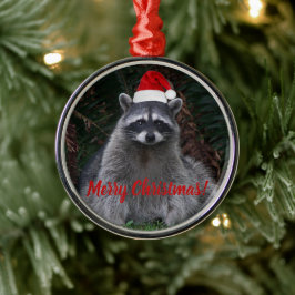 Kerstrace in Santa Hat Foto Metalen Ornament