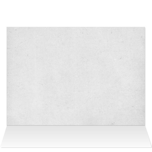 Kerstragdollenkat met haard (Binnen Horizontaal (Boven))