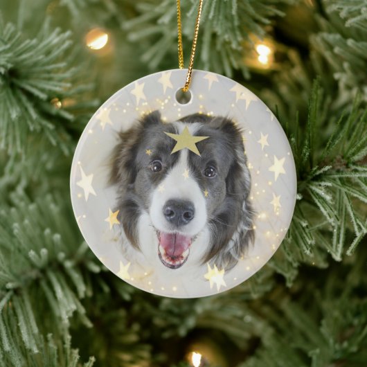 Kerstrand Collie hond met sterren en lichten Keramisch Ornament (Boom)
