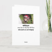 Kerstratten Feestdagen Kaart (Achterkant)