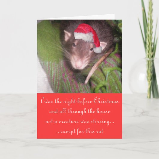 Kerstratten Feestdagen Kaart (Voorkant)