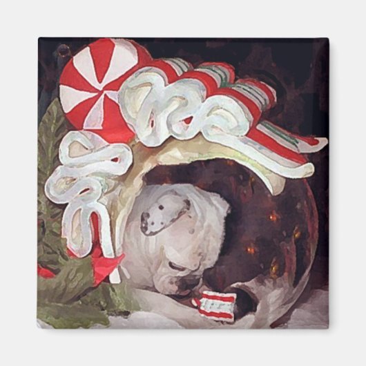 kerstreflecties magneet (Voorkant)