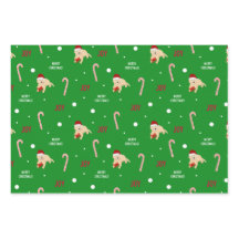 kerstreuksnoeren Candy Canes Gift Wrap set 3
