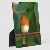 KerstRobin Fotoplaat (Zijkant)