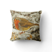 KerstRobin in de sneeuw in Schotland