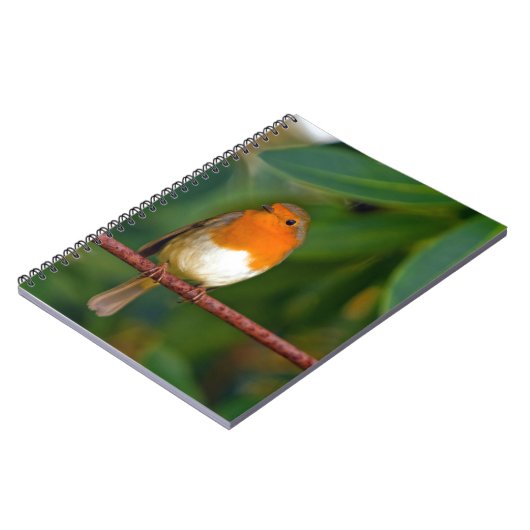 KerstRobin Notitieboek (Linkerzijde)