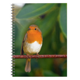 KerstRobin Notitieboek