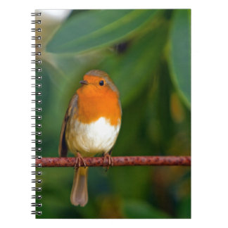 KerstRobin Notitieboek