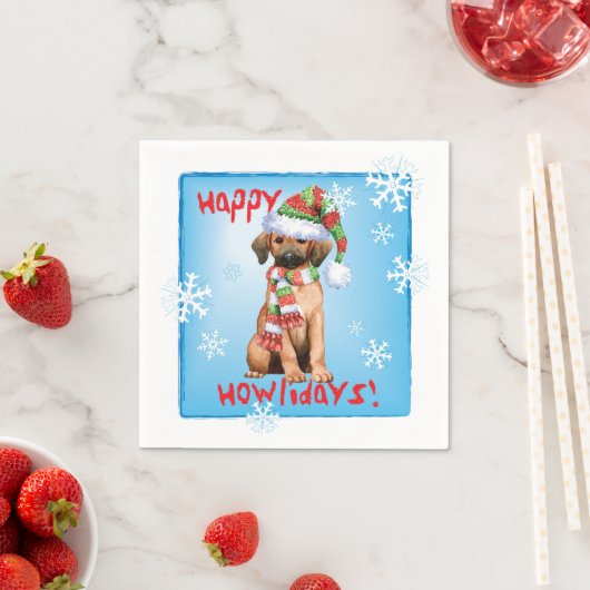 Kerstrobot Coonhound Servet (Insitu)