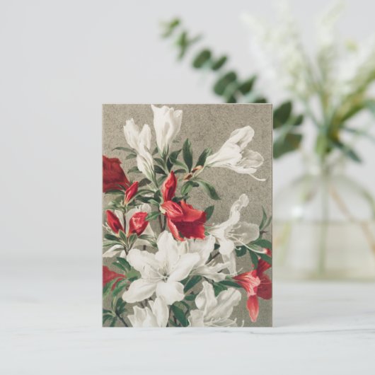 Kerstrode en witte appelbloemen feestdagenkaart (Staand voorkant)